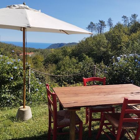Bed and Breakfast Segni E Impronta Finale Ligure Exterior foto