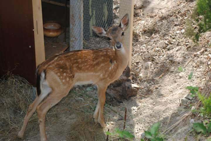 Bed and Breakfast Segni E Impronta Finale Ligure Exterior foto