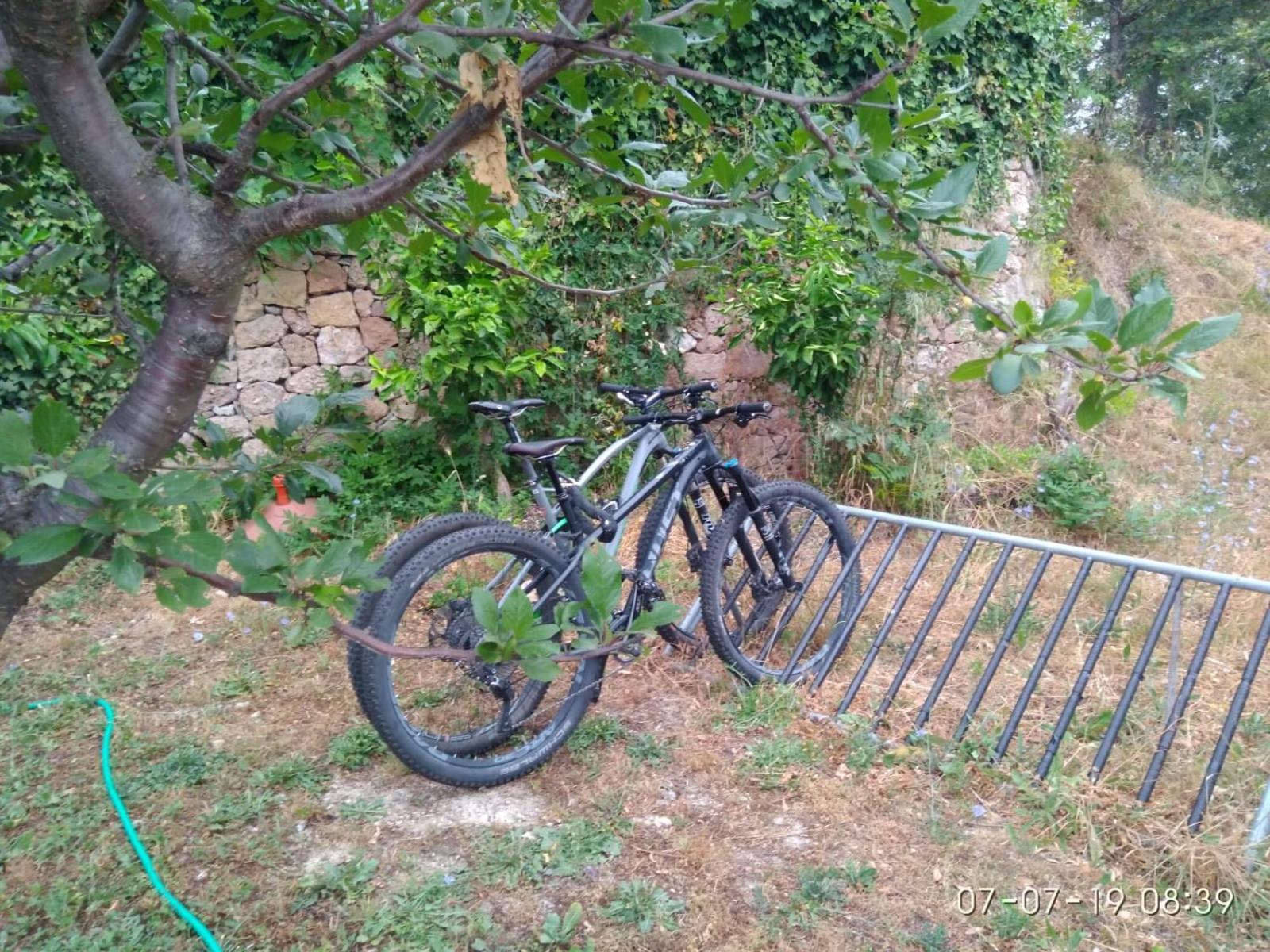 Bed and Breakfast Segni E Impronta Finale Ligure Exterior foto